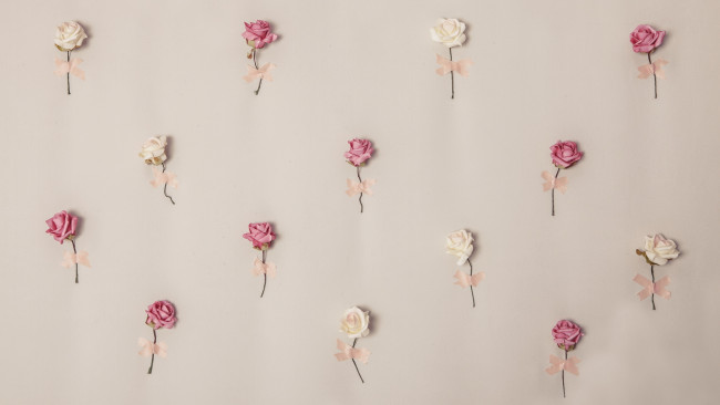 Обои картинки фото цветы, розы