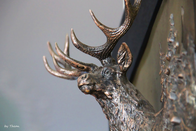 Обои картинки фото разное, рельефы, статуи, музейные, экспонаты, рога