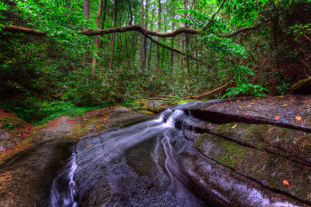 Картинка природа водопады водопад река лес