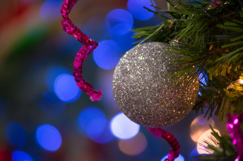 Картинка праздничные -+разное+ новый+год праздник новый год рождество елка украшения снег чудеса