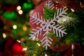 Картинка праздничные -+разное+ новый+год праздник новый год рождество елка украшения снег чудеса