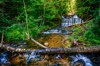 Картинка природа водопады лес река водопад