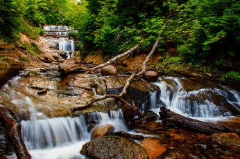 Картинка природа водопады водопад река лес