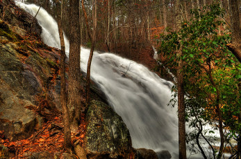 Картинка природа водопады лес водопад река