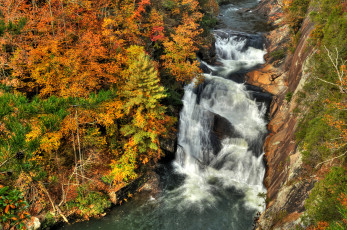 Картинка природа водопады водопад лес река