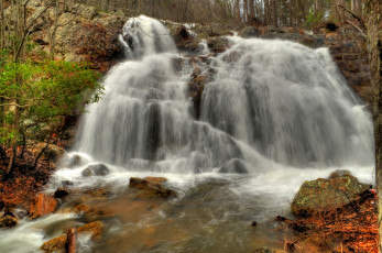 Картинка природа водопады водопад река лес