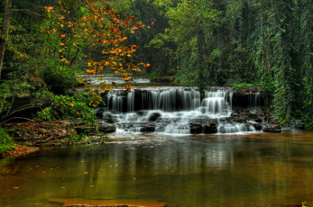 Картинка природа водопады водопад река лес