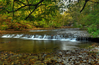 Картинка природа водопады водопад река лес