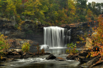 Картинка природа водопады водопад река лес