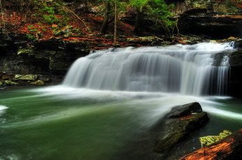Картинка природа водопады водопад река лес