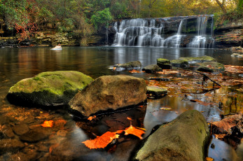 Картинка природа водопады водопад река лес