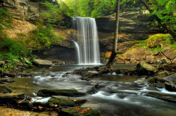 Картинка природа водопады водопад река лес