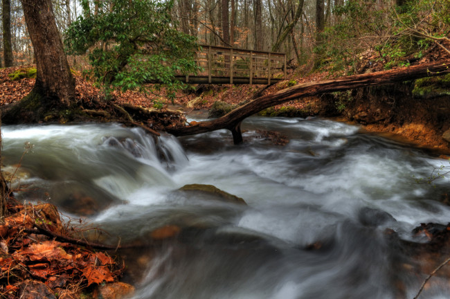 Обои картинки фото природа, реки, озера, лес, водопад, река