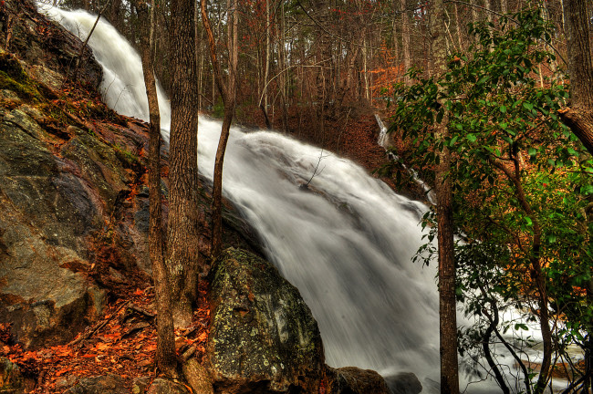 Обои картинки фото природа, водопады, лес, водопад, река