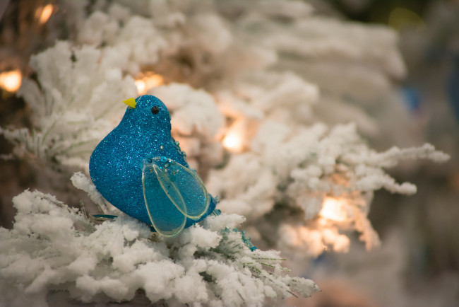 Обои картинки фото праздничные, - разное , новый год, праздник, новый, год, рождество, елка, украшения, снег, чудеса