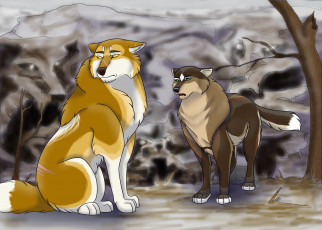 Картинка рисованное животные +собаки взгляд собаки фон