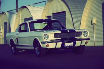 Картинка автомобили mustang