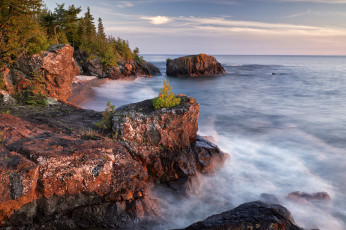 Картинка природа побережье лес берег