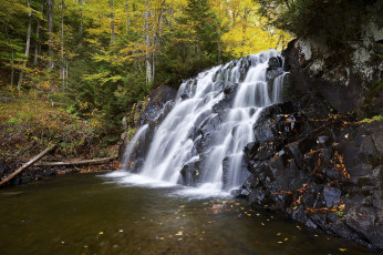 Картинка природа вода лес река водопад