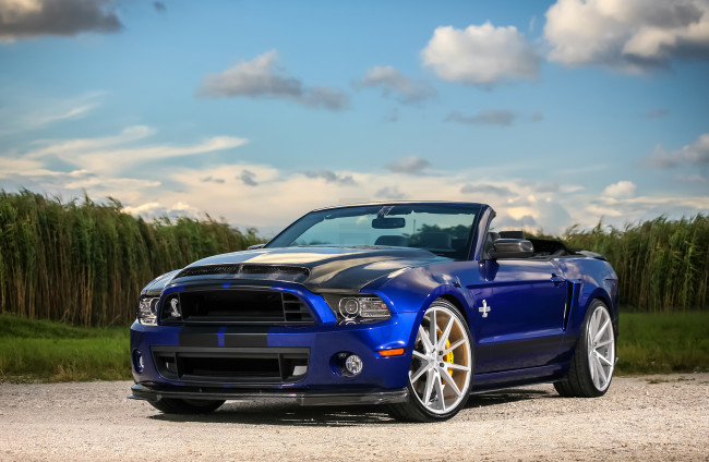 Обои картинки фото автомобили, mustang