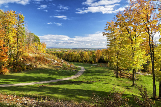 Обои картинки фото природа, дороги, осень, тропинка, лес