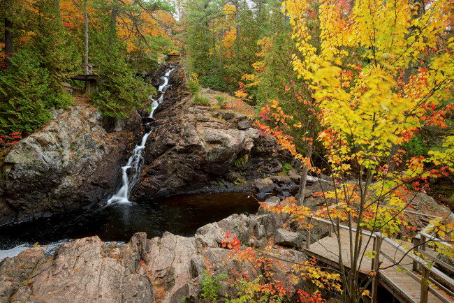 Обои картинки фото природа, реки, озера, ручей, лес, осень