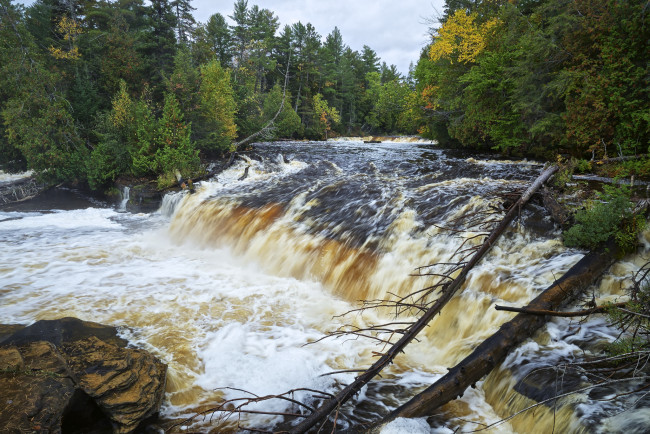 Обои картинки фото природа, водопады, лес, река, водопад
