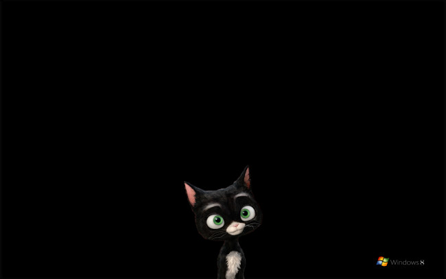 Обои картинки фото компьютеры, windows 8, черный, котенок