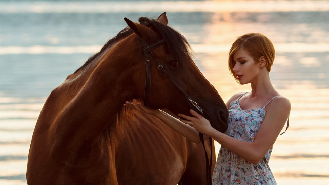 Обои картинки фото anastasia zhilina, девушки, анастасия жилина, anastasia, zhilina, лошадь, конь, животное, грива, волосы, анастасия, жилина, девушка, модель, стройная, сексуальная, секси, рыжеволосая, поза, фотосессия, фигура