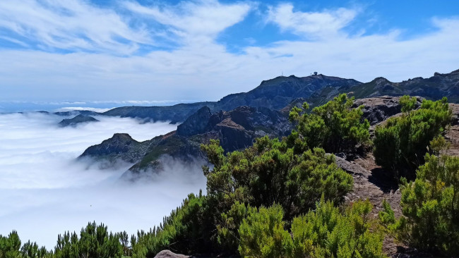 Обои картинки фото pico ruivo, madeira, природа, горы, pico, ruivo