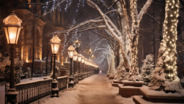 Картинка города -+огни+ночного+города парк