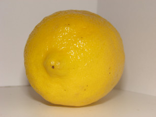 Картинка еда цитрусы