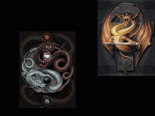 Картинка фэнтези драконы