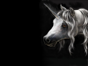 Картинка фэнтези единороги