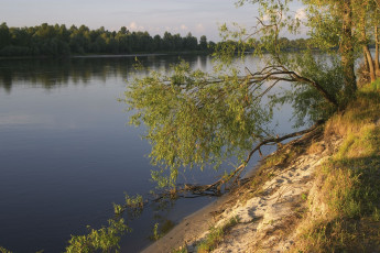 Картинка природа