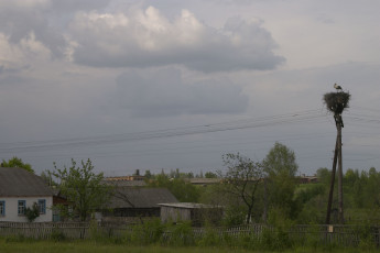 Картинка природа