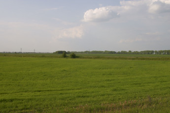 Картинка природа