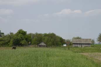 Картинка природа