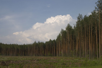 Картинка природа