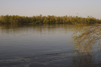 Картинка природа