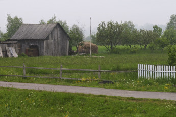 Картинка природа