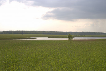 Картинка природа