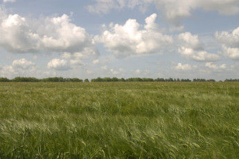 Картинка природа