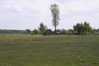 Картинка природа