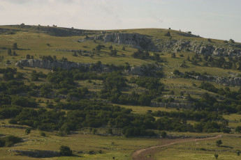 Картинка природа