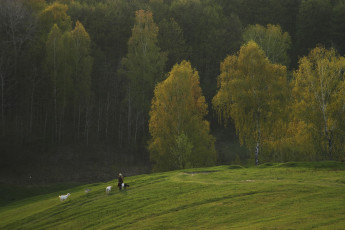 Картинка природа