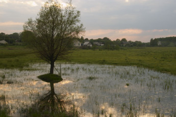 Картинка природа