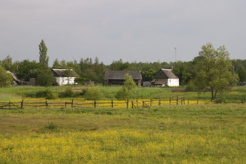 Картинка природа