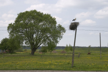 Картинка природа