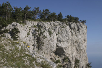 Картинка природа